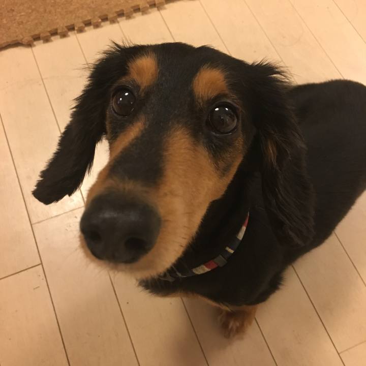 A5e8d4cd a3cd 4b44 b17e 54a9f96d7419