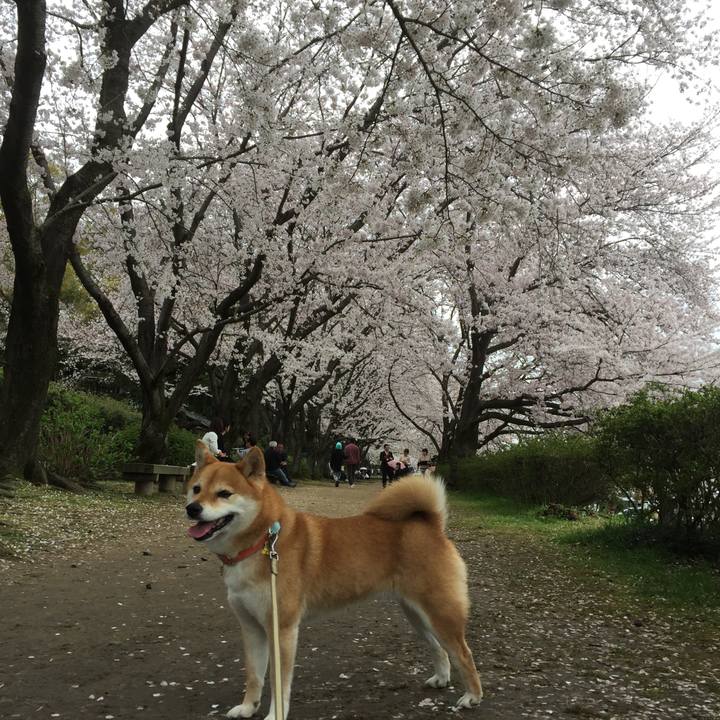 A5e91c97 6208 4d47 941a 18cce7a03228