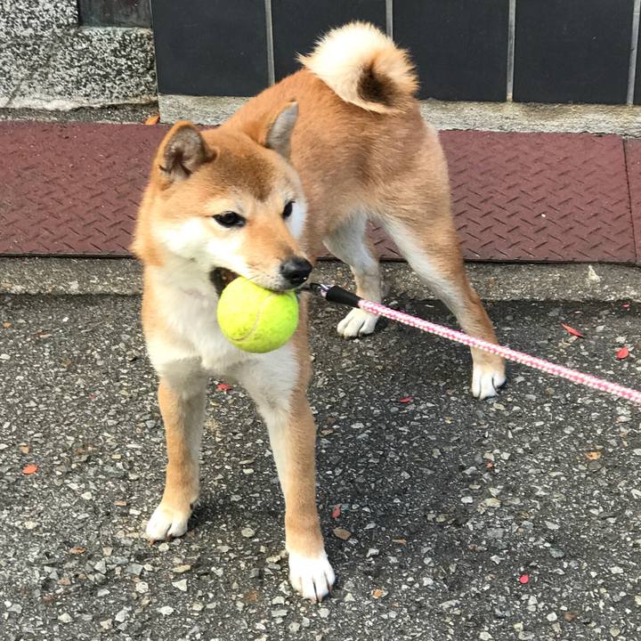 A5e92925 e910 401e 9a32 3c6b01792a0c