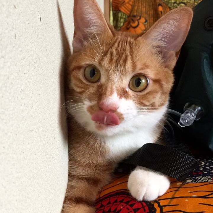 A5e9b082 b00e 47e4 9db8 c653fa94ab1d