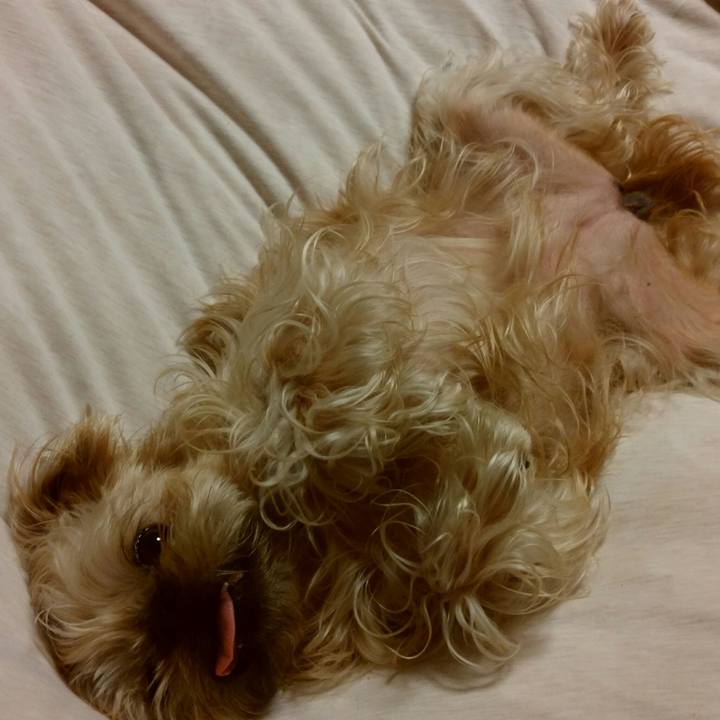 A5e9c96b e2a3 4fdd a5dc 35cb4d6cee36