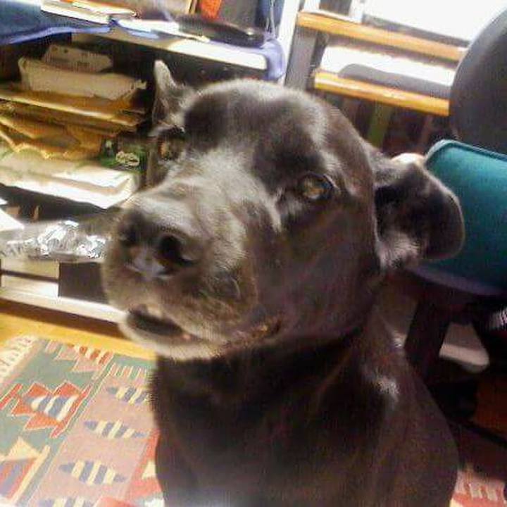 A5e9d9e9 b193 49e0 ba0e 8adc278bfa5d