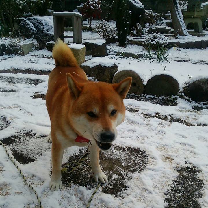 A5ea148e e14a 4412 9716 0d9553bd1f8d