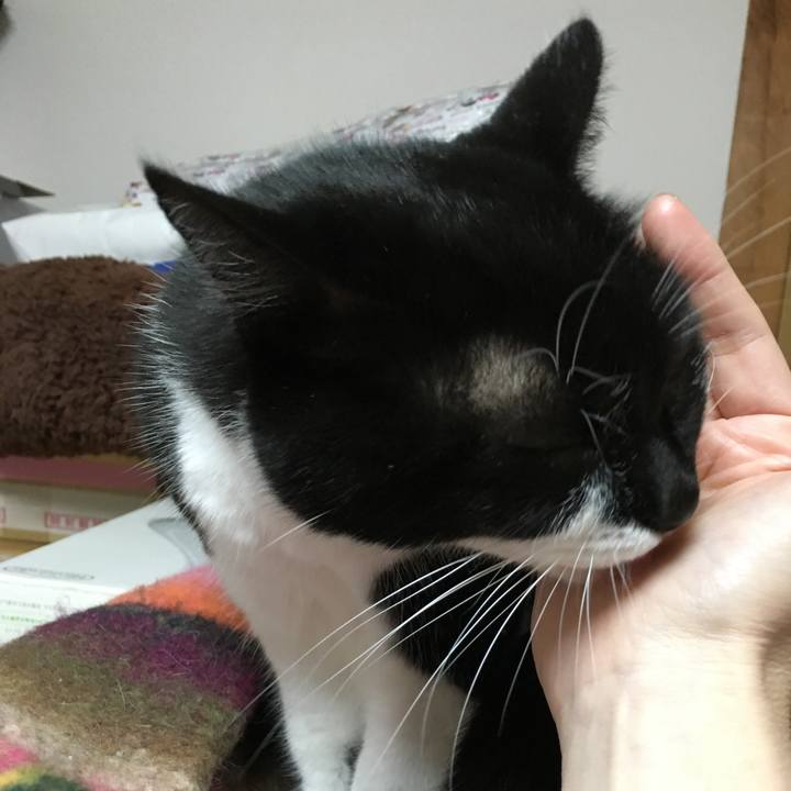 A5ea27c6 8276 42db b011 01dfa23d277b