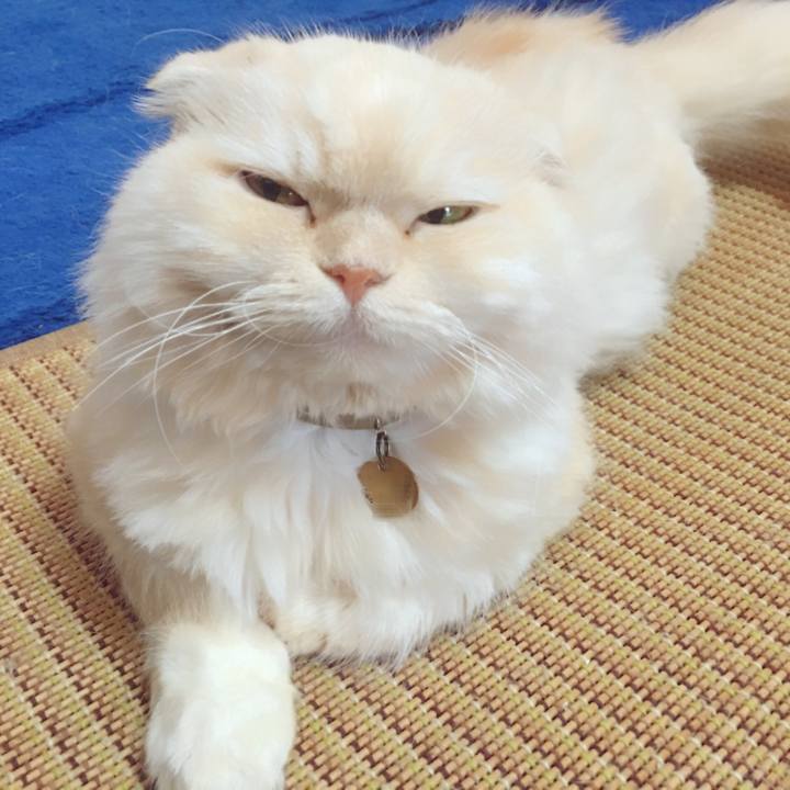 A5eacbaa 65e8 4482 8a04 4a6d6811db33