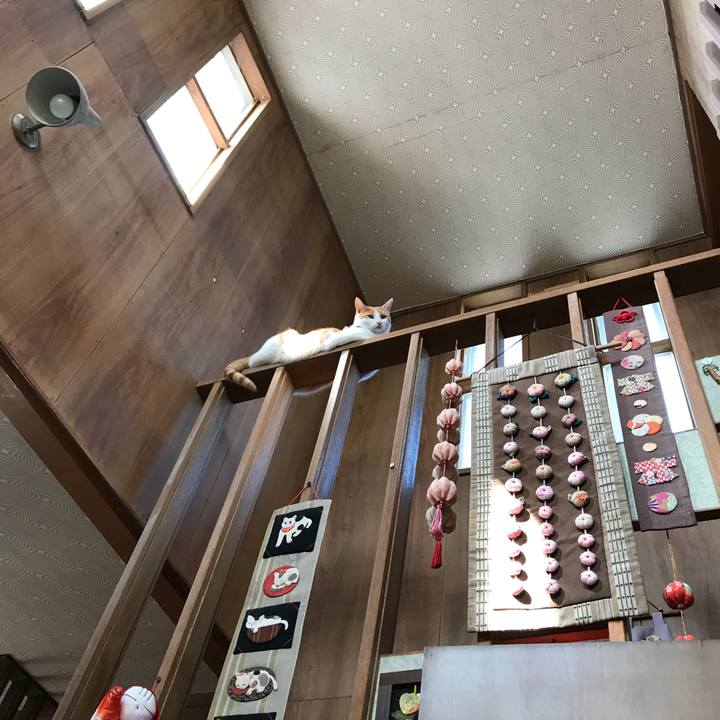 A5eb86e2 fffd 4d1c ae1b c82d473ac9b9