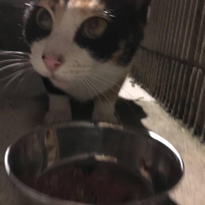 A5ebee9a 657d 4584 b3ff f77e83921c72