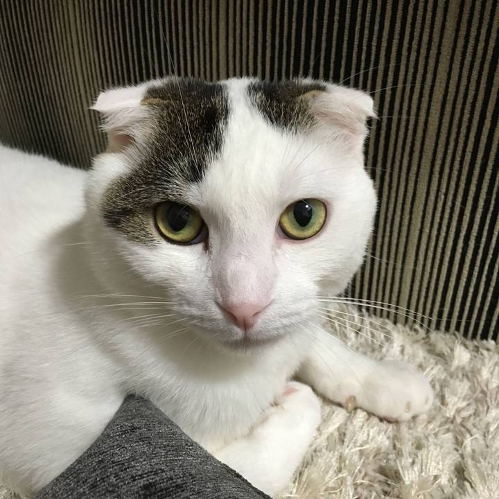 A5ec5813 53e9 426e 8a80 6a9a6c956859