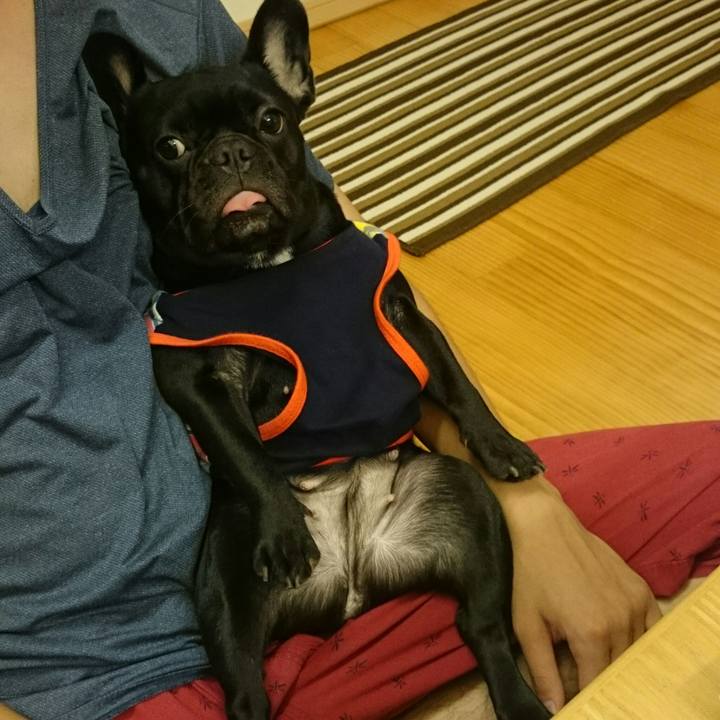 A5ec9085 2a50 4a66 89ed 377acd461905