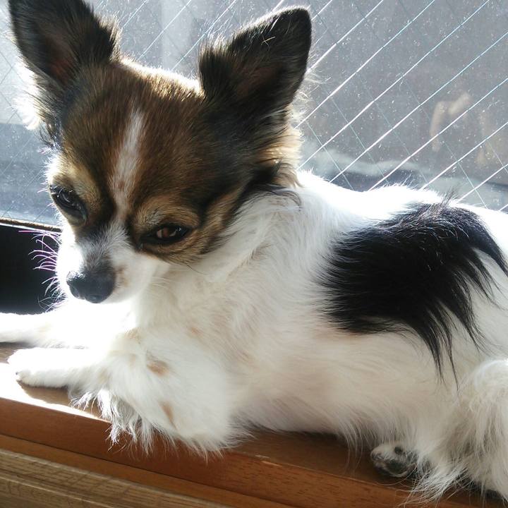 A5ecd987 31e7 4fa1 9fbd 170830bd785e