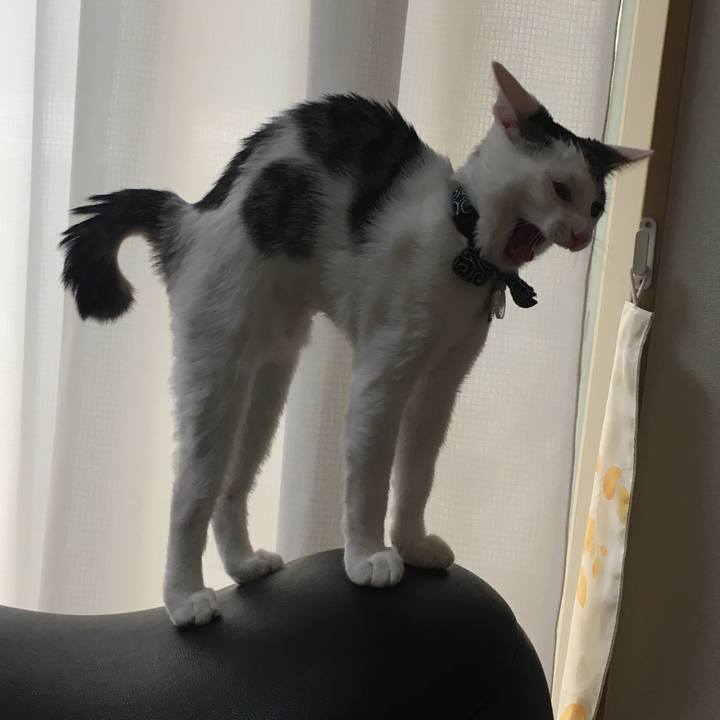 A5ecde29 4b6d 4f6d b194 a93df524ce03