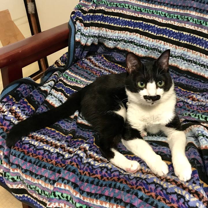 A5ecf908 46b2 4d8d a32a 668c6df65538