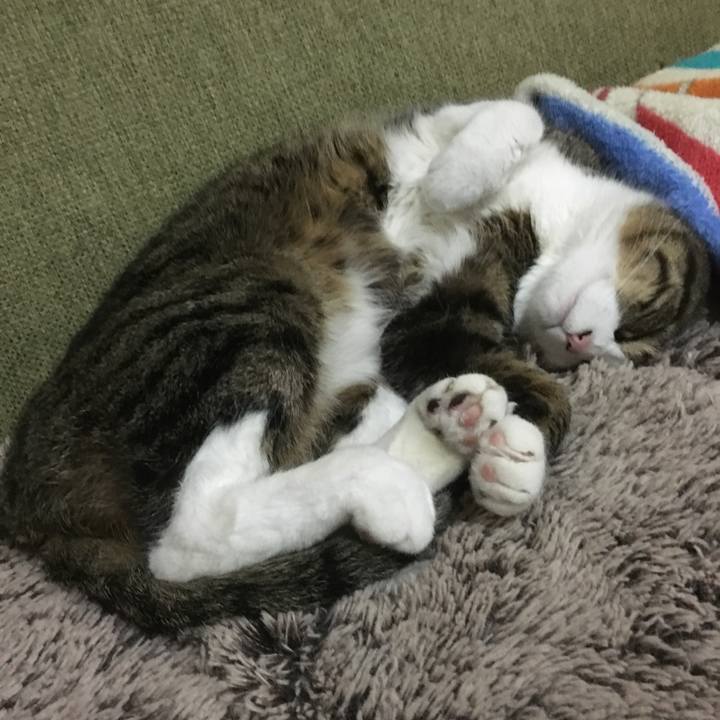 A5ed41be 68a0 4cde 97c2 32ca232d4be8