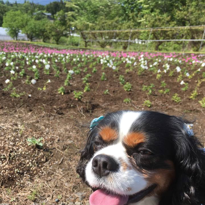 A5ed9b6c ff36 4570 9bc5 59dababcbb5a