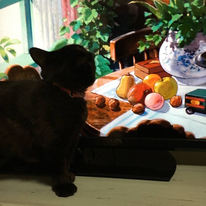 A5edf98b 75d4 4d8d bfe2 4220a2a31ea8