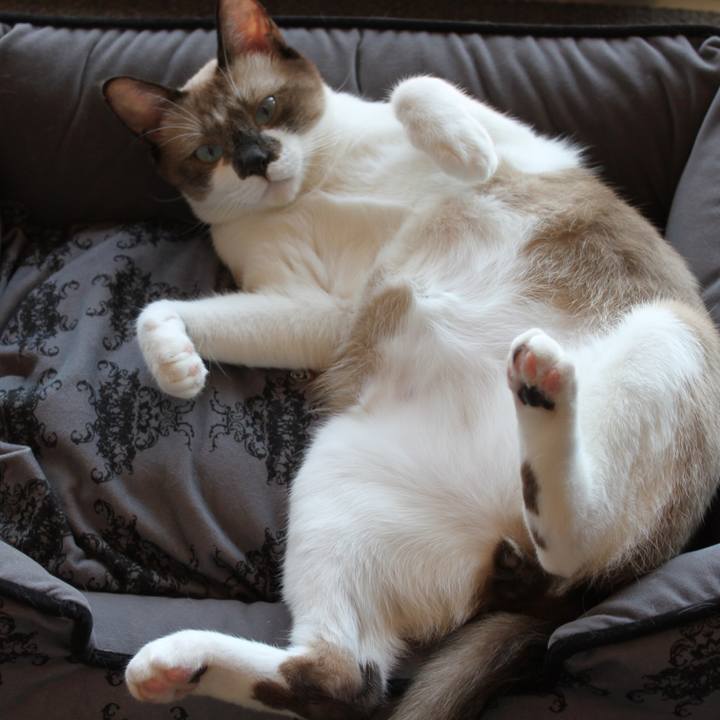 A5edfa48 01da 4059 ae82 f2c47c66bdeb