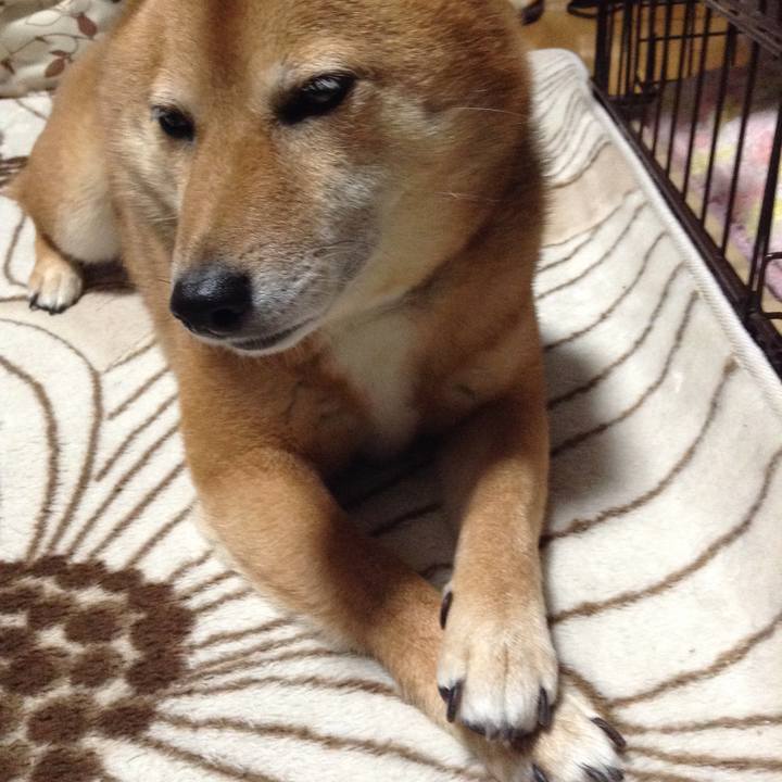 A5ee09f2 8715 4161 a6aa 22c5df6e358c