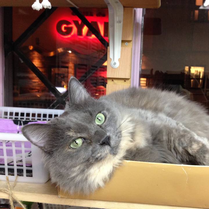 A5eeb168 3453 44a3 bbbb 1c0423ceab1b