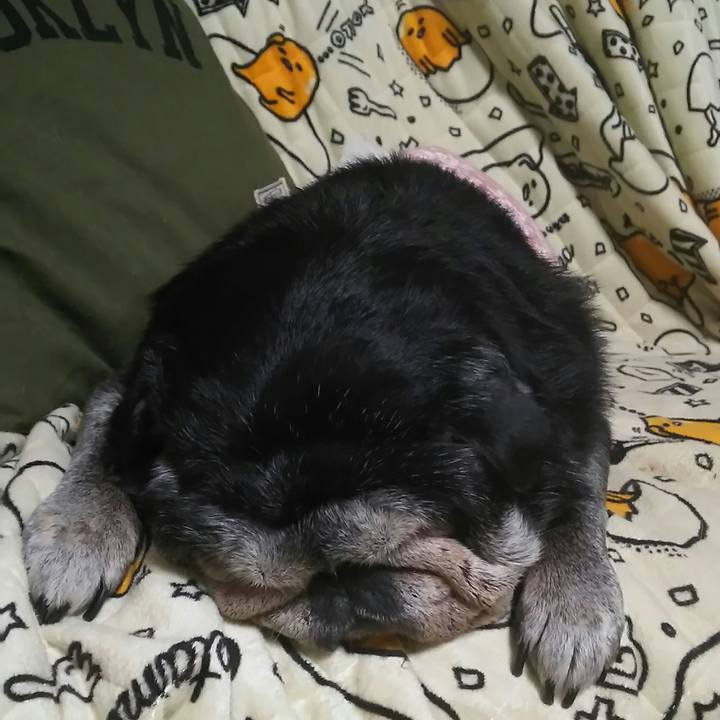 A5eecf39 074b 4bdb 865a dfc1065bcf7d