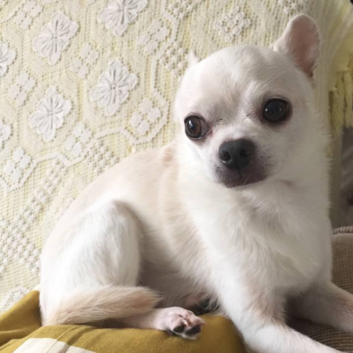 A5eff940 3dc6 4f9c a5bd 7865ec085d2b