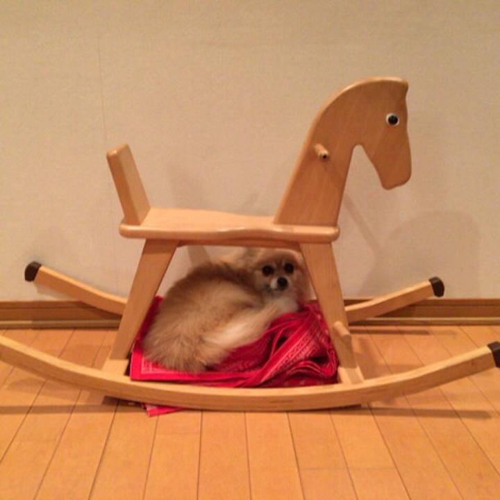 A5f0382c 253d 494b 921c d7feb0526c41