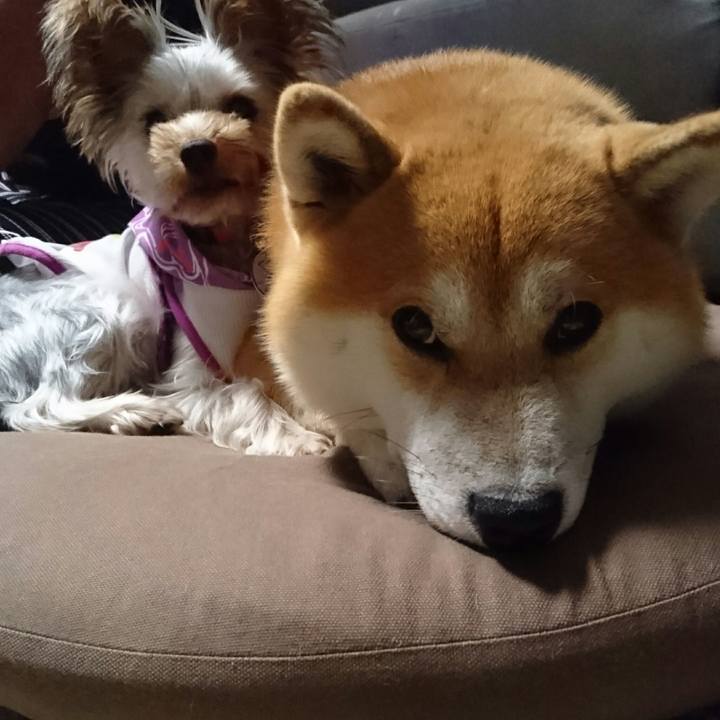 A5f07750 9c80 44a7 a005 14f65007565c