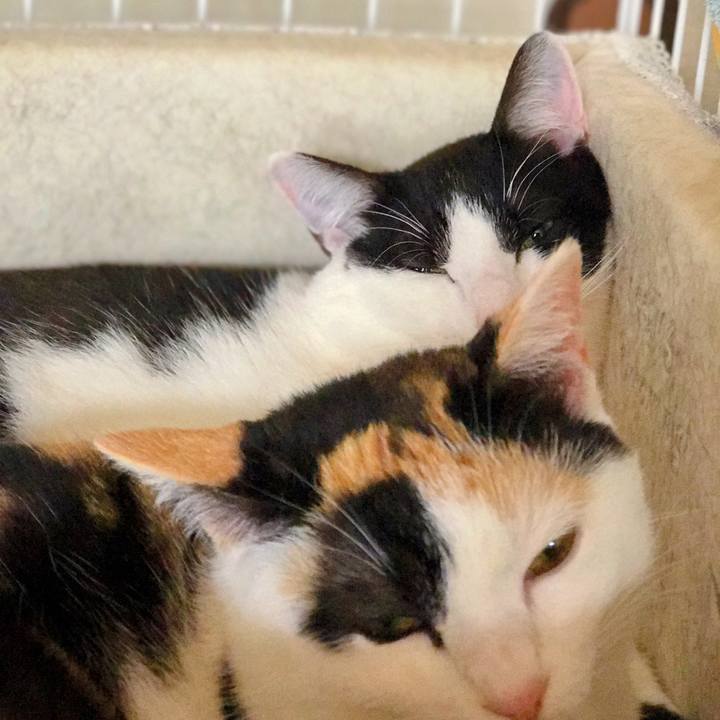 A5f0f0d1 0a2f 4b0a bd51 00af885b4416