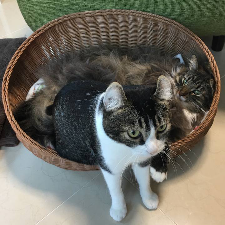 A5f17eb4 a8bc 49b0 8074 a898bf13b4fe