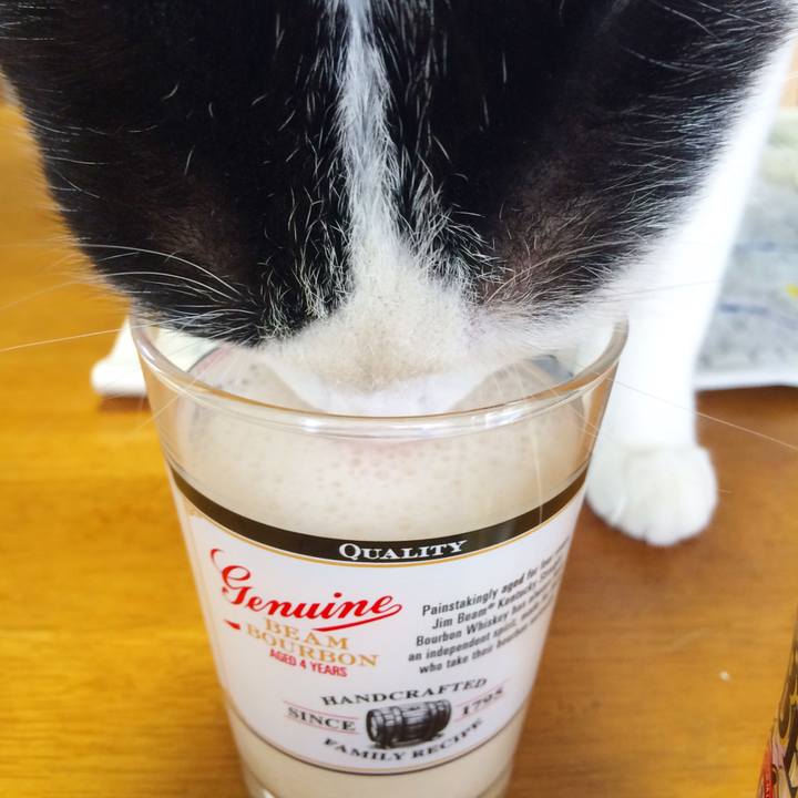 A5f2ebdd b6f6 4cfc aa23 578511c824aa