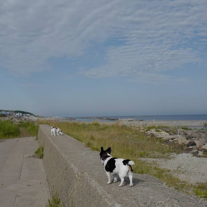 A5f37c82 1231 4771 b23a ff6b688bce8c