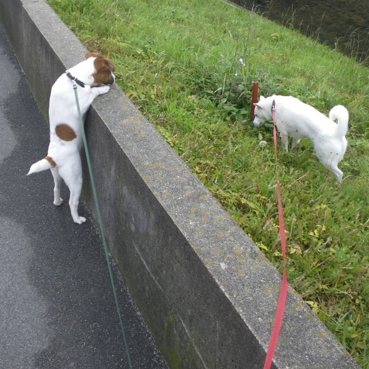 A5f38ab9 8e91 4dc5 8a2e 3de6b77f70bc