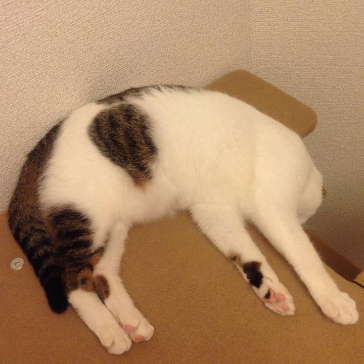 A5f3915a 0b70 4110 a327 a01328e4613e