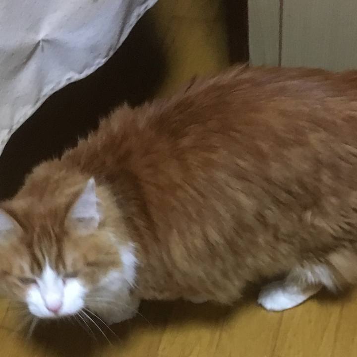 A5f3cd86 d478 4f1f a315 e9fe34b3cdea