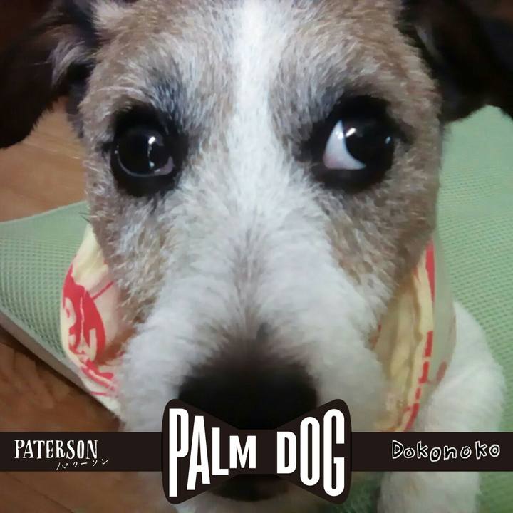 A5f3f29a 6bb1 47ca bc5a 93466d654f34