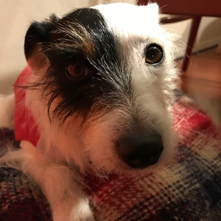 A5f41d4a 324c 47b1 9c9e 81e6c2a2f981