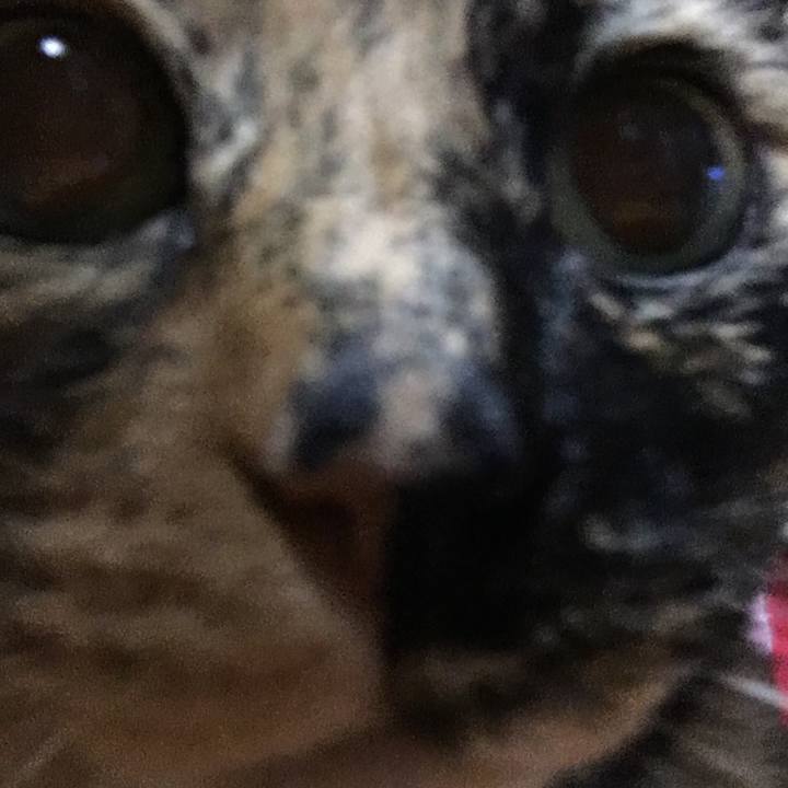 A5f5b7be 3af3 457d abce f0de2baaa354