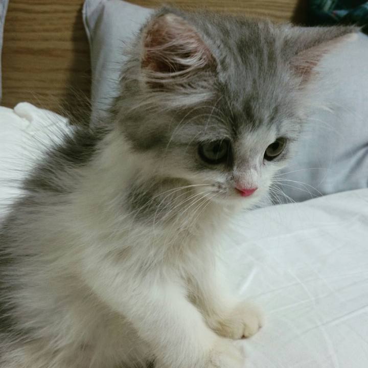 A5f5d28b 5e7e 4d79 8ad7 e5c7dbc8ac2f