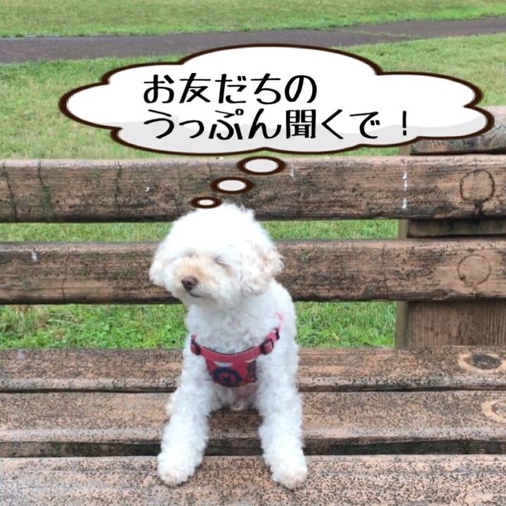 A5f6bfcd e905 4999 add4 f2ec6b5c2372