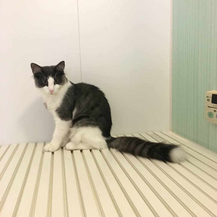 A5f6c50e 1b99 456a 97ea 31e56d5de227