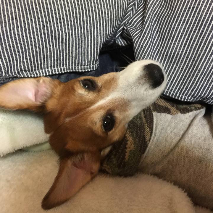 A5f72ddb 32c8 477f 910b 44c7ae50f521