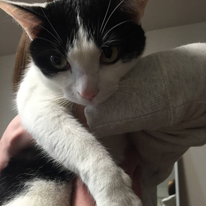 A5f74a13 4e50 48f0 829b 90940f558974