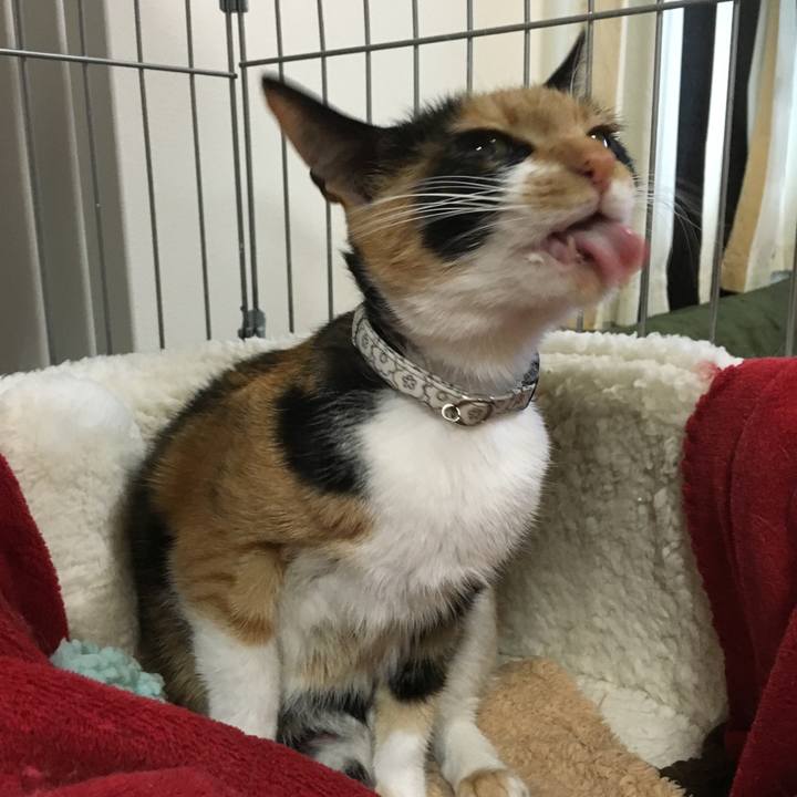 A5f85c71 292f 49f8 8a4c 6cb2350cf548