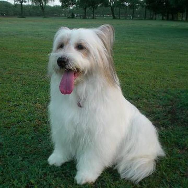 A5f8bfc8 7fb1 43ba b24a ff2e9956a0d1