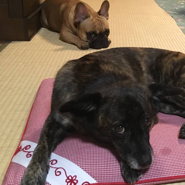 A5f90070 4a93 42b1 babe f63d1aa88424