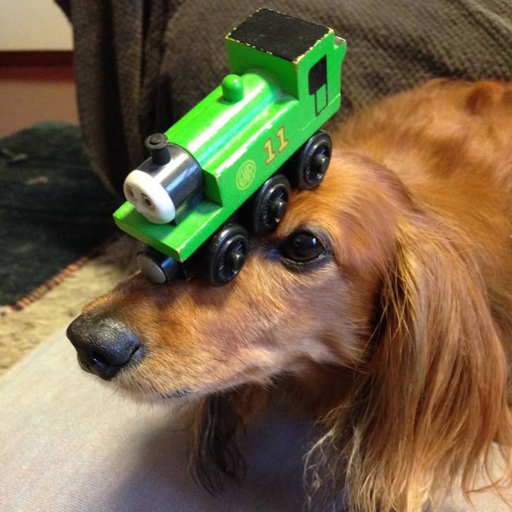 A5f935f5 90b5 42b4 be61 829fe1763f41