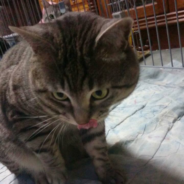 A5f9450c 0739 4f98 902f f77ec3e53e52