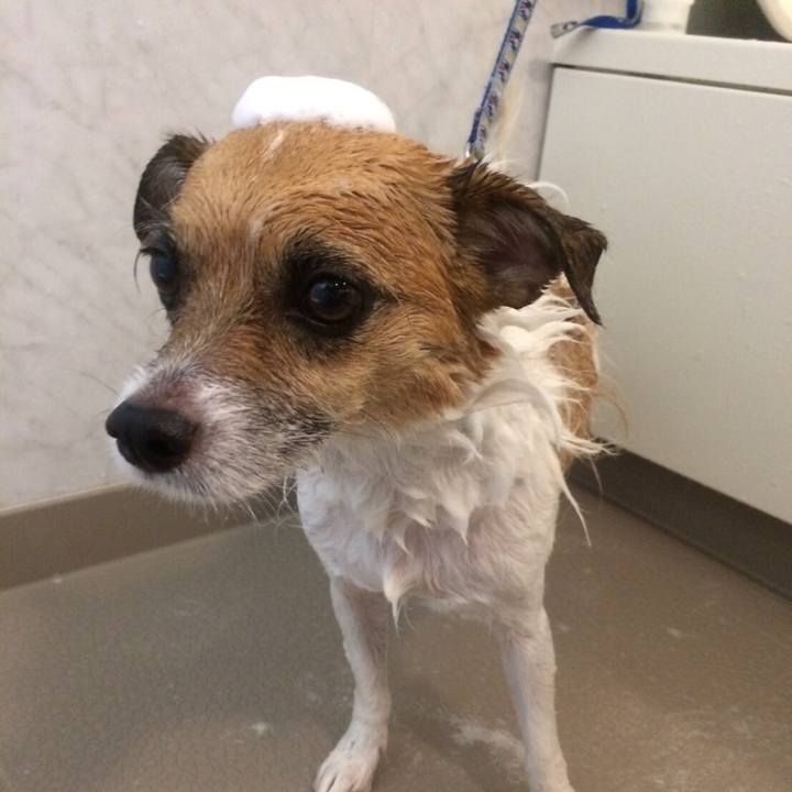 A5f9ab63 d108 4765 864d 89440daa7015