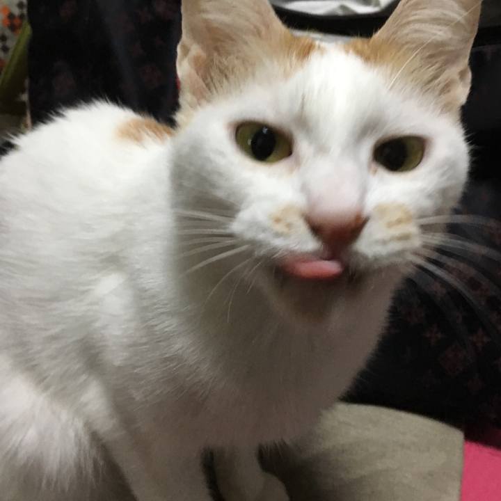 A5f9dd10 239c 4874 b0d8 ac613bcc0ddb