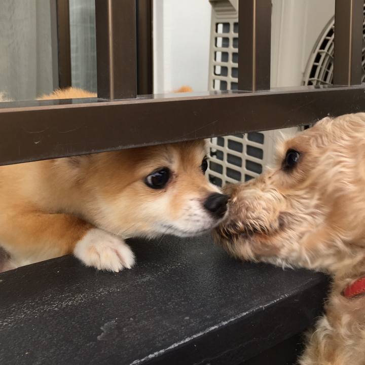 A5f9fed9 56a9 4382 8890 7b99372ba1fe