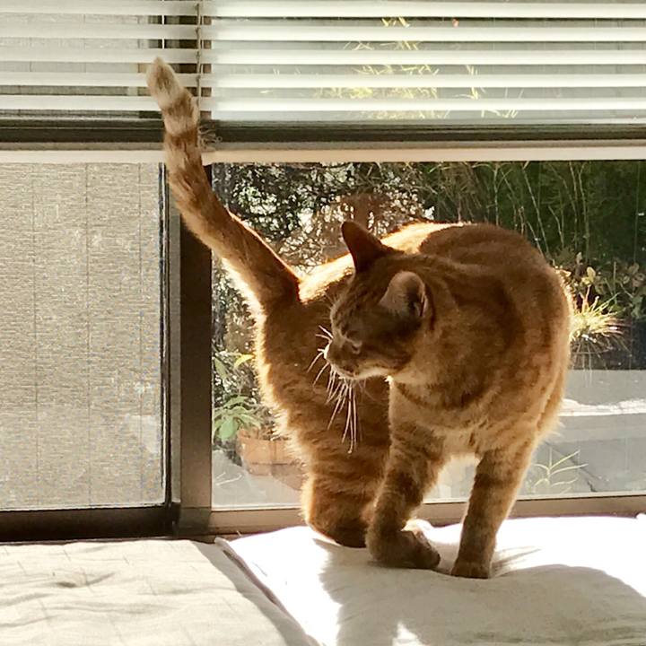 A5fa0796 0893 44fa af88 78fc323a3dae